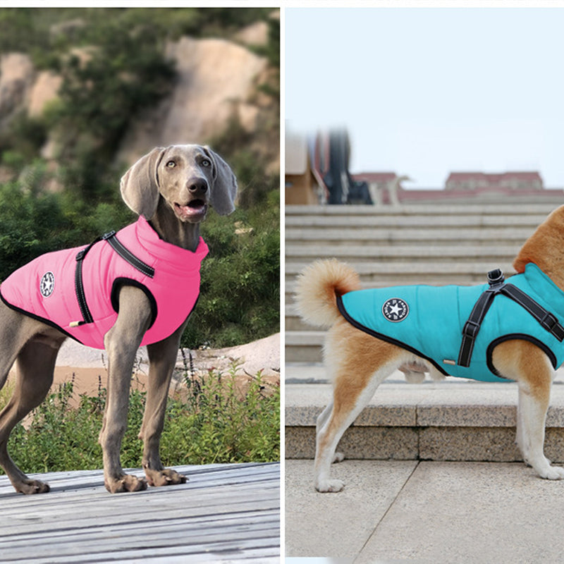 Waterproof Jacket for Dogs Insulated with Reflective Harness Function