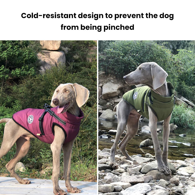 Waterproof Jacket for Dogs Insulated with Reflective Harness Function