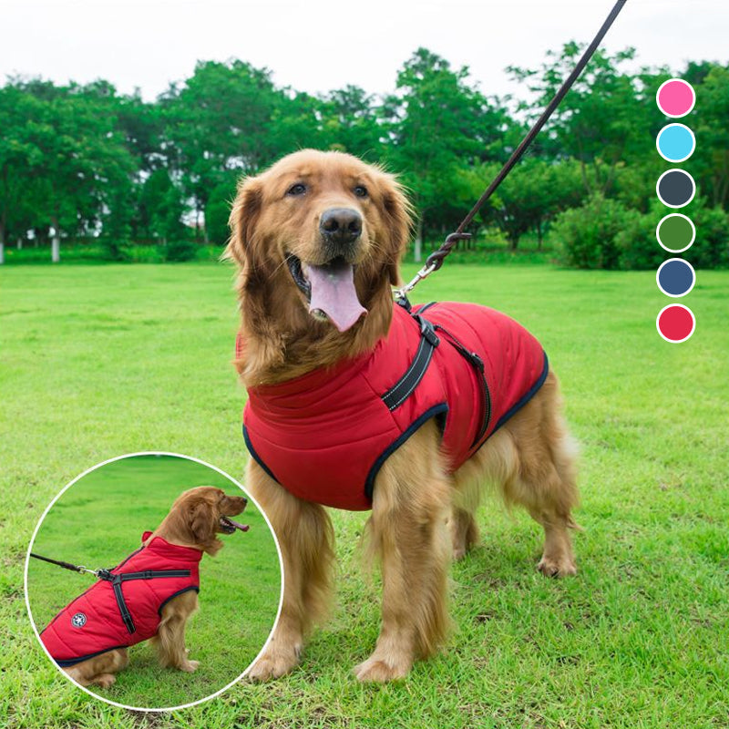 Waterproof Jacket for Dogs Insulated with Reflective Harness Function