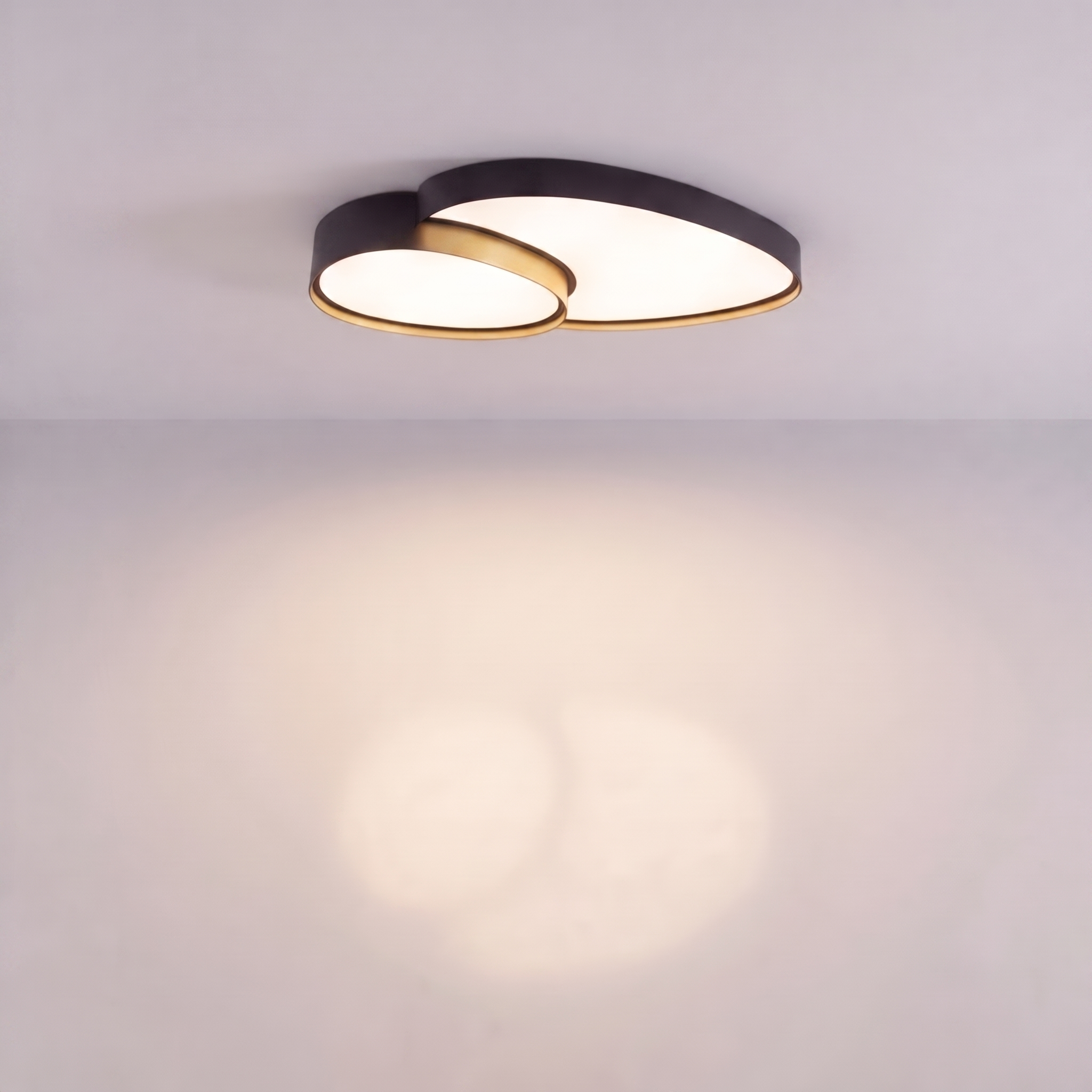 Oval Ceiling Light