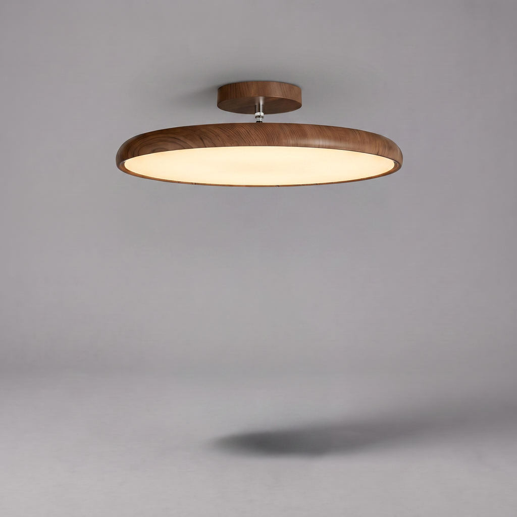 Rounded Ceiling Light