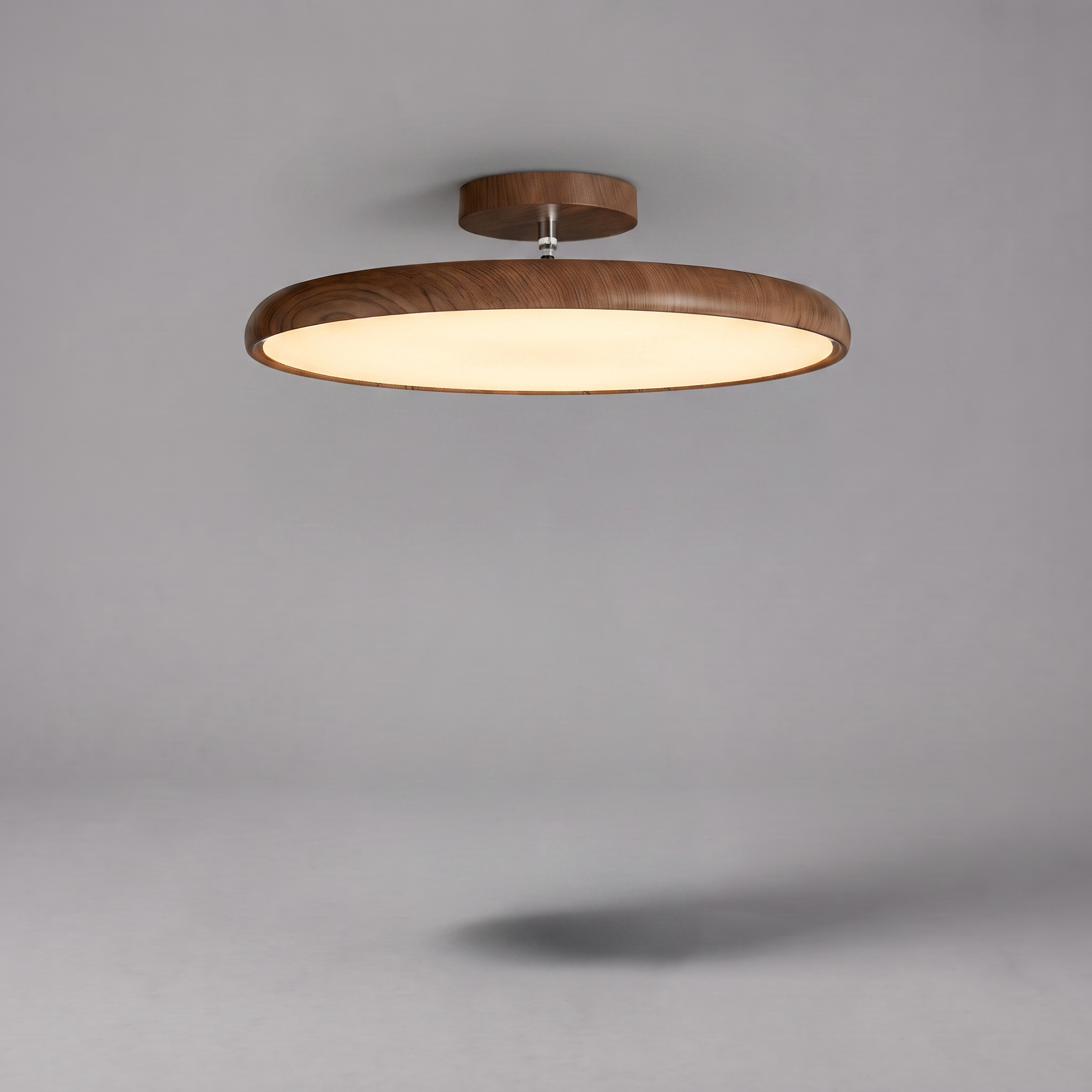 Rounded Ceiling Light