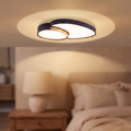 Oval Ceiling Light