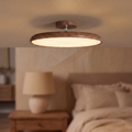 Rounded Ceiling Light