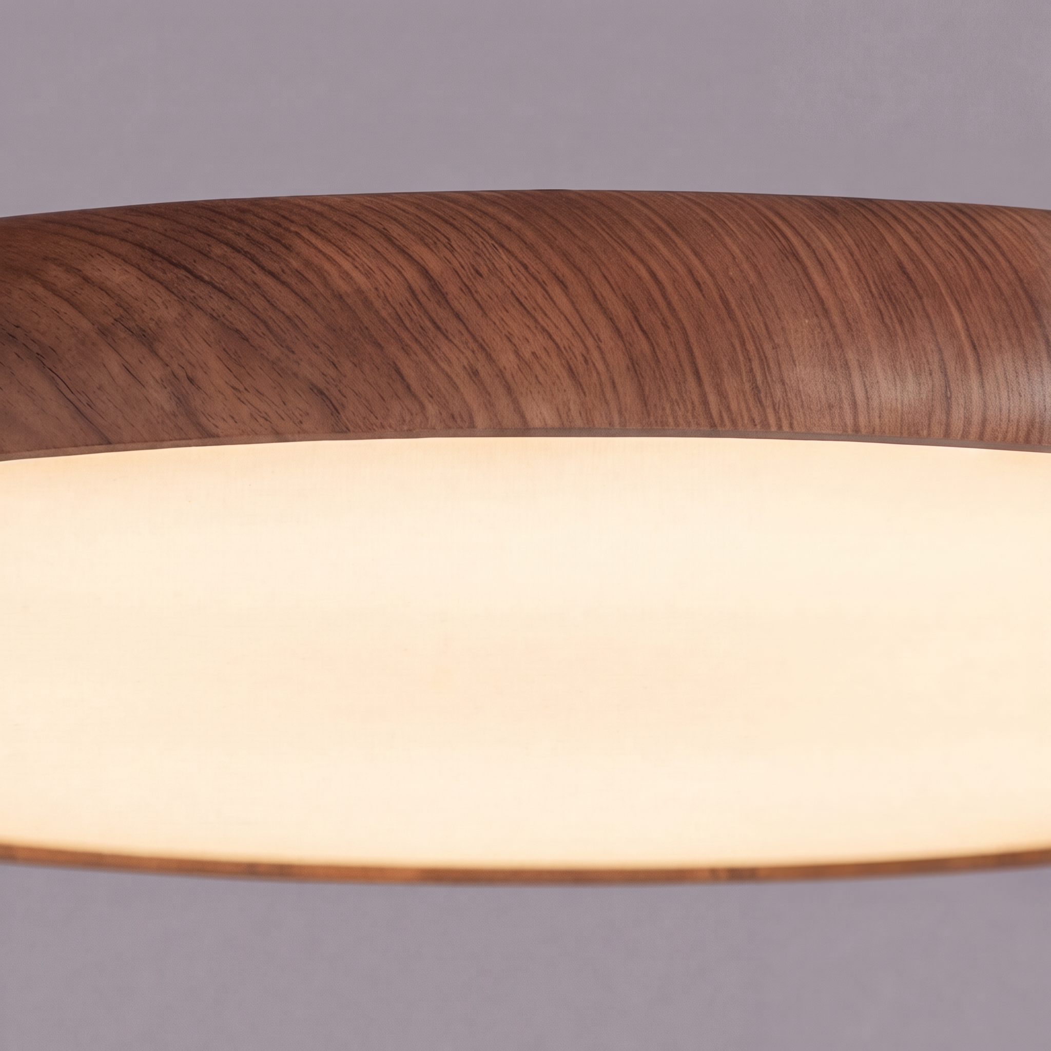 Rounded Ceiling Light