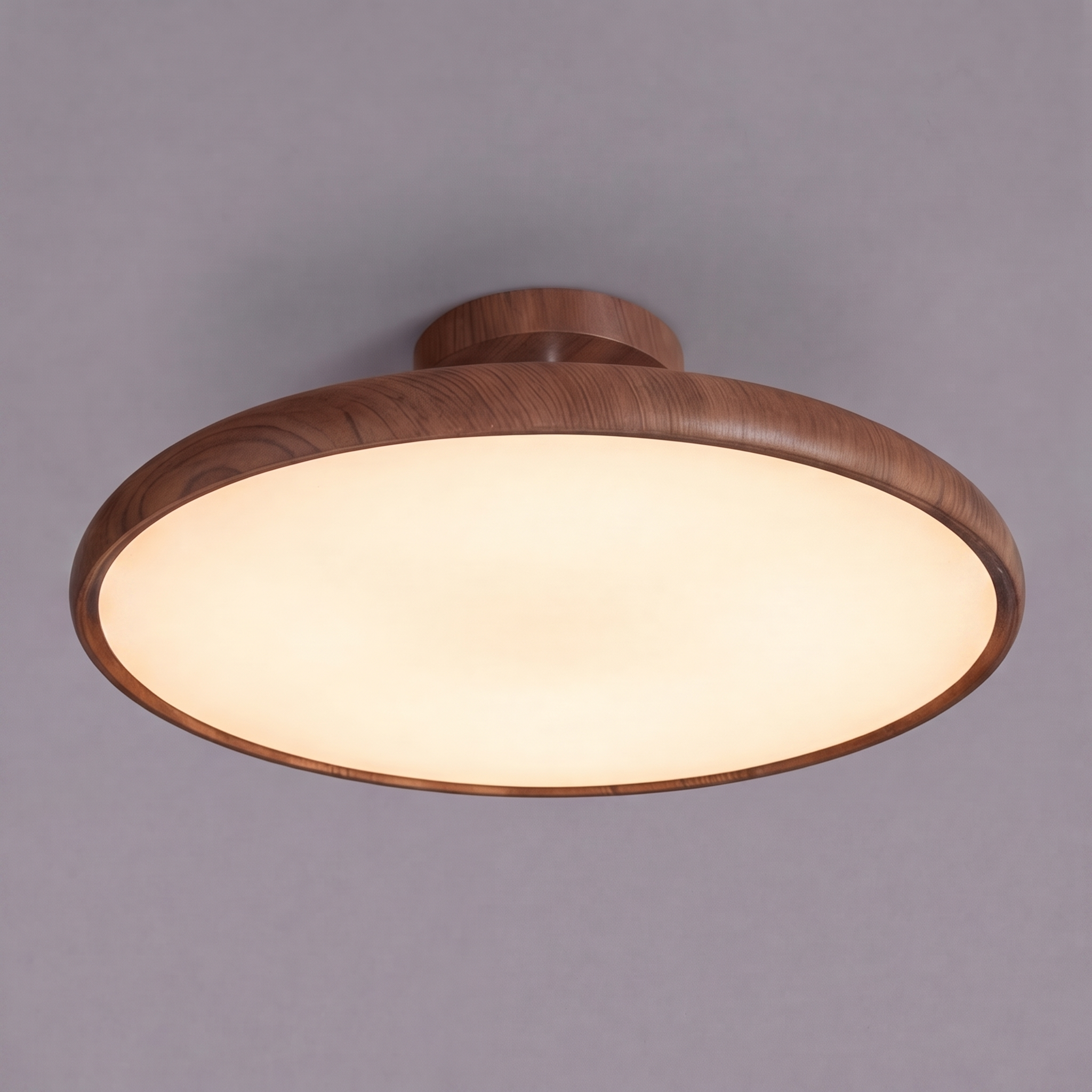 Rounded Ceiling Light