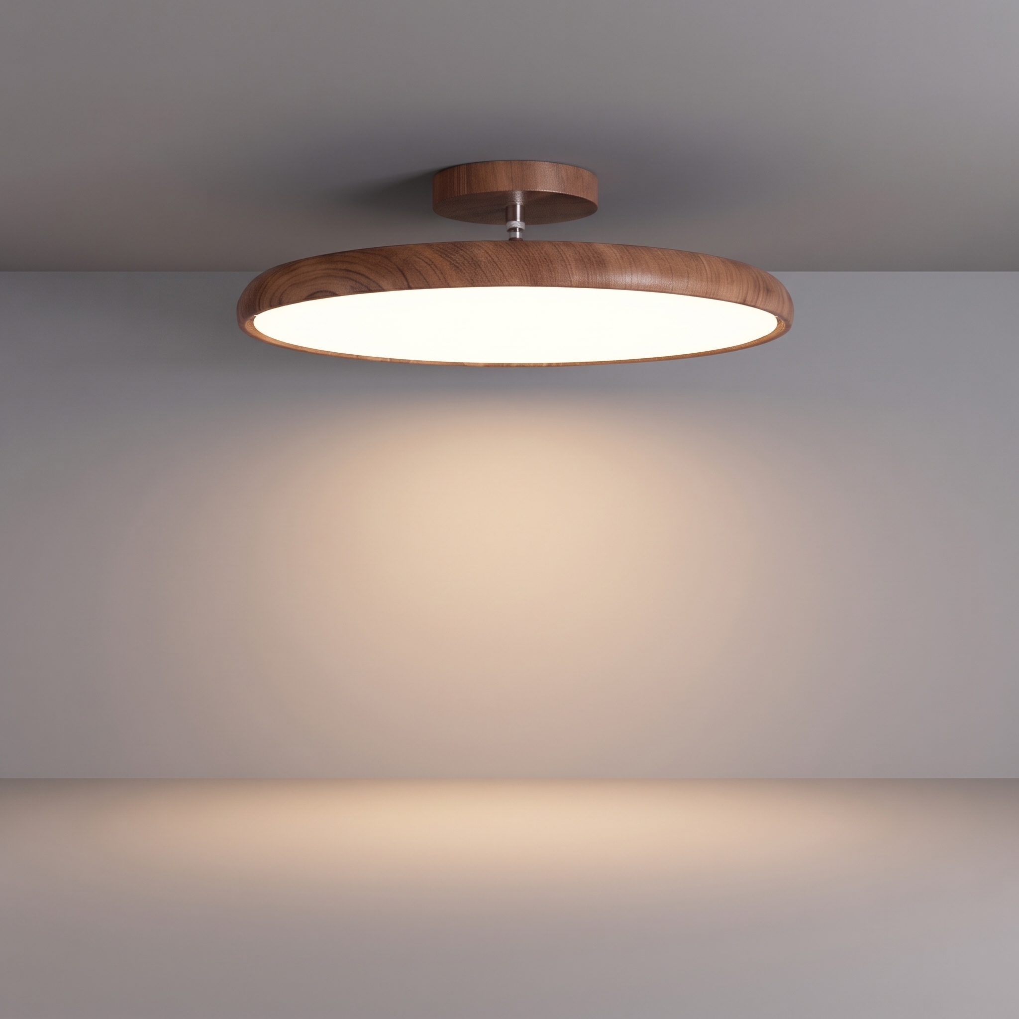 Rounded Ceiling Light
