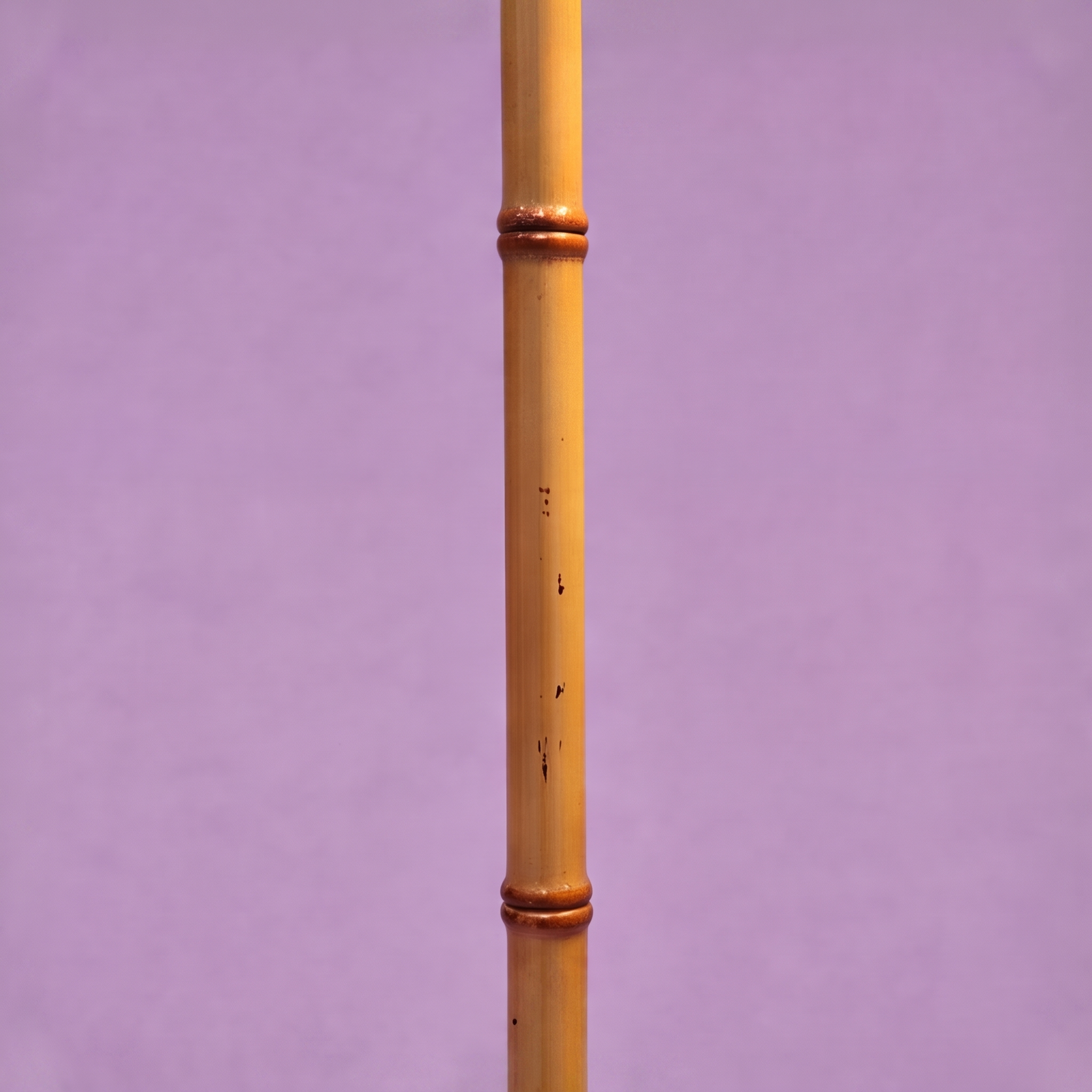 Bamboo Floor Lamp
