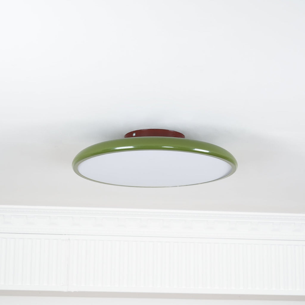 Ceiling Light Fixture Adjustable Head Flush Mount LED Ceiling Lights for Living Room