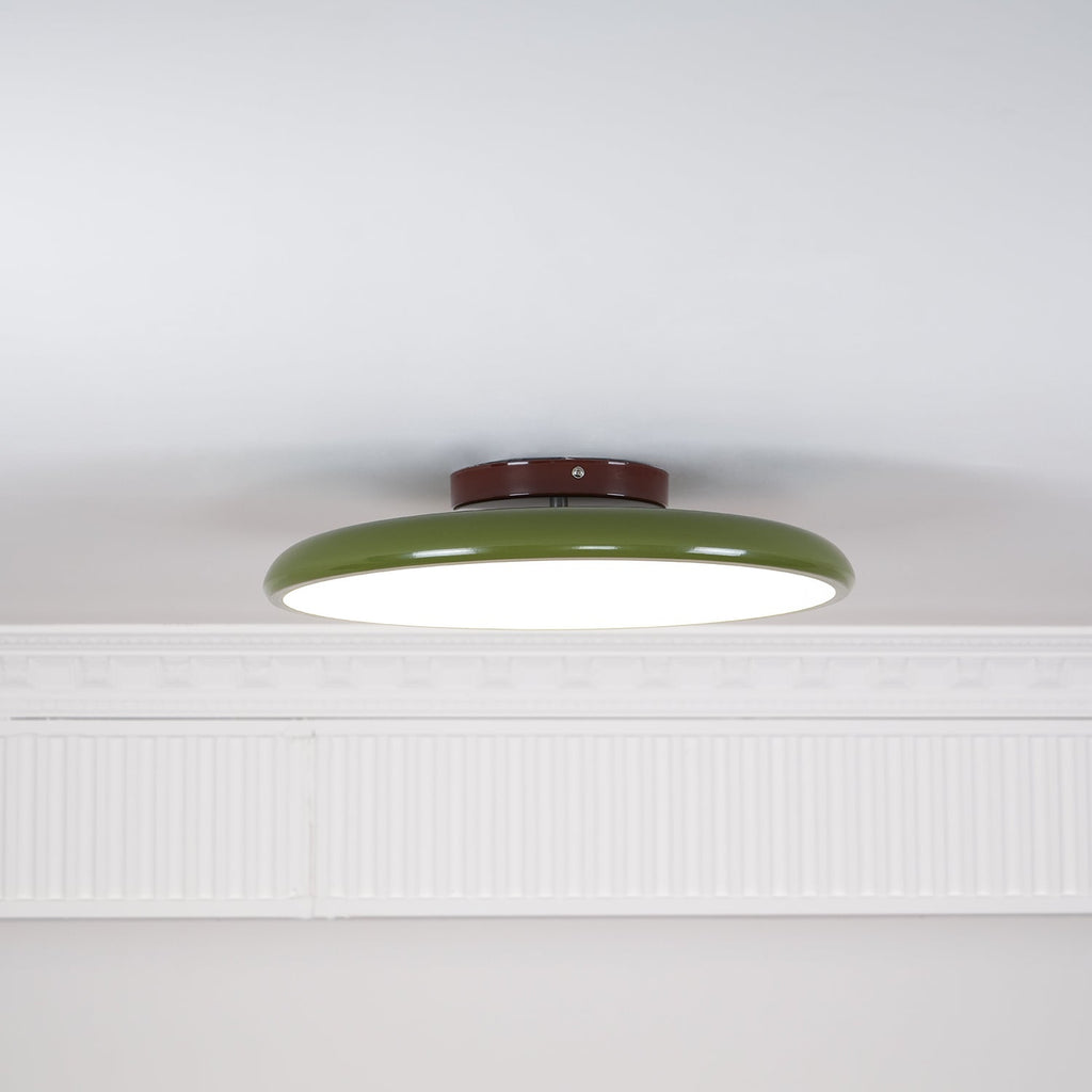 Ceiling Light Fixture Adjustable Head Flush Mount LED Ceiling Lights for Living Room