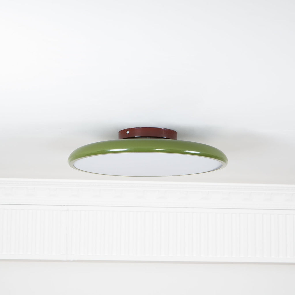 Ceiling Light Fixture Adjustable Head Flush Mount LED Ceiling Lights for Living Room
