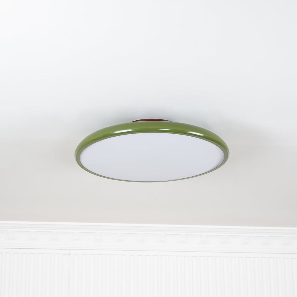 Ceiling Light Fixture Adjustable Head Flush Mount LED Ceiling Lights for Living Room