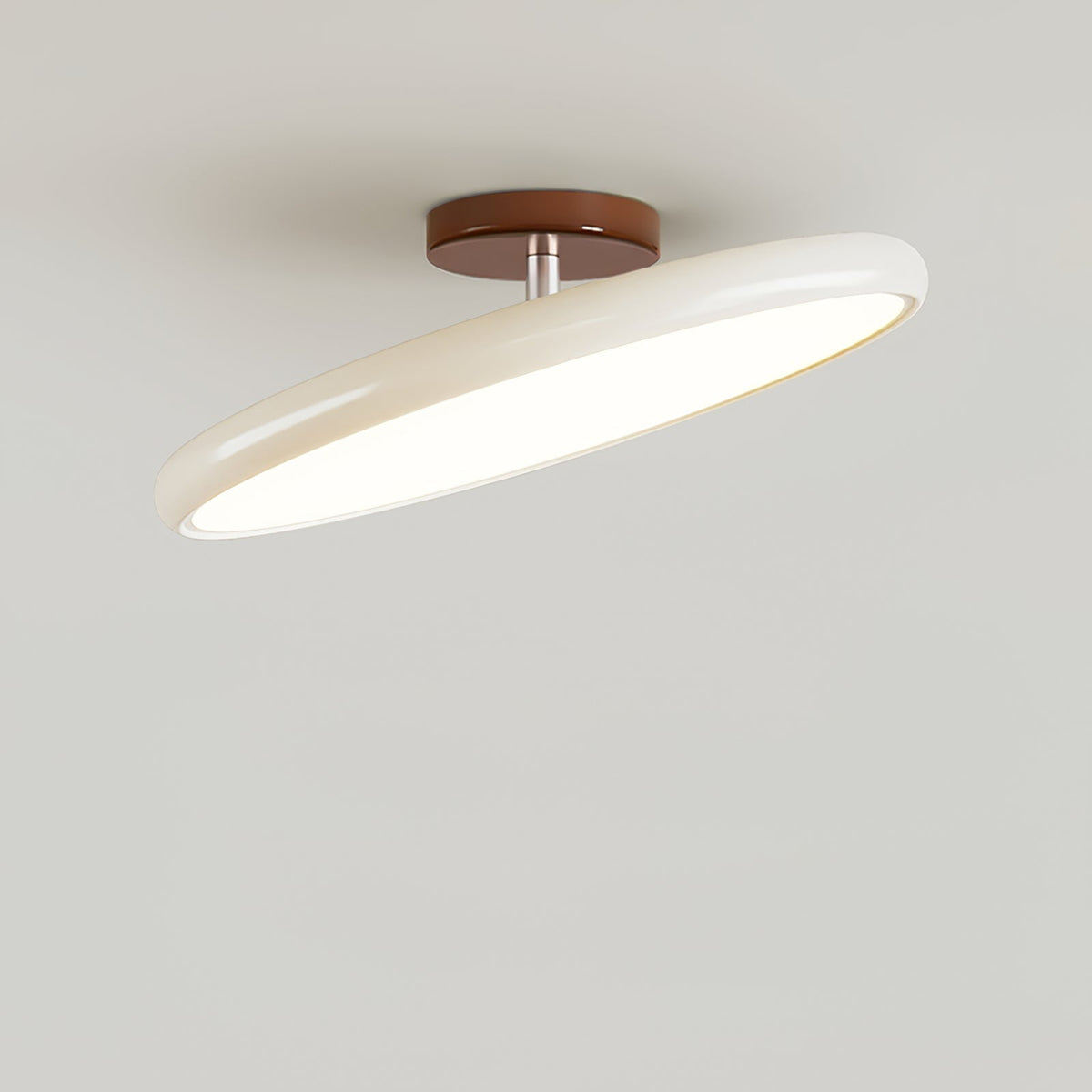 Ceiling Light Fixture Adjustable Head Flush Mount LED Ceiling Lights for Living Room