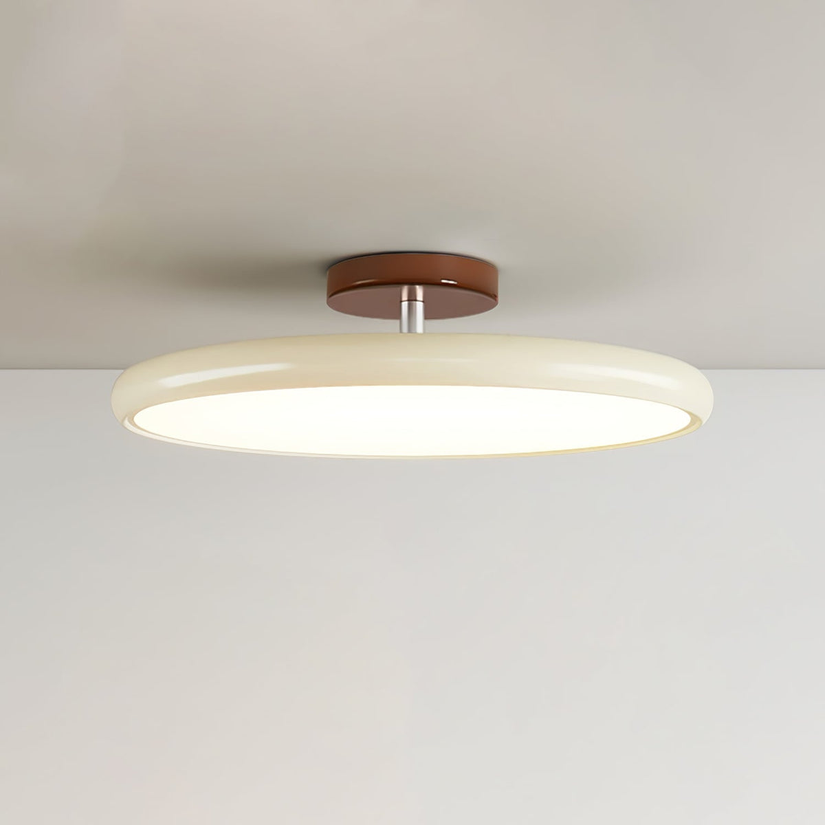 Ceiling Light Fixture Adjustable Head Flush Mount LED Ceiling Lights for Living Room