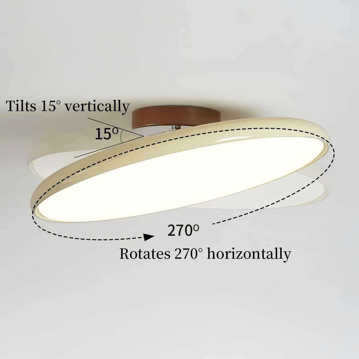 Ceiling Light Fixture Adjustable Head Flush Mount LED Ceiling Lights for Living Room